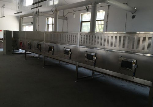 微波滅菌技術在食品行業的應用
