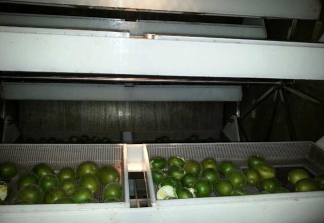 微波真空幹燥機概述 微波真空(kōng)幹燥機概述