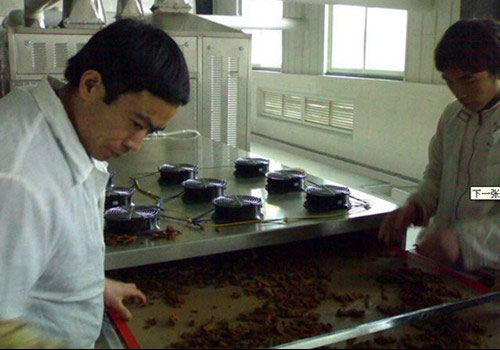 牛肉(ròu)幹微波幹燥殺菌設備 牛肉幹微波幹燥殺菌設備